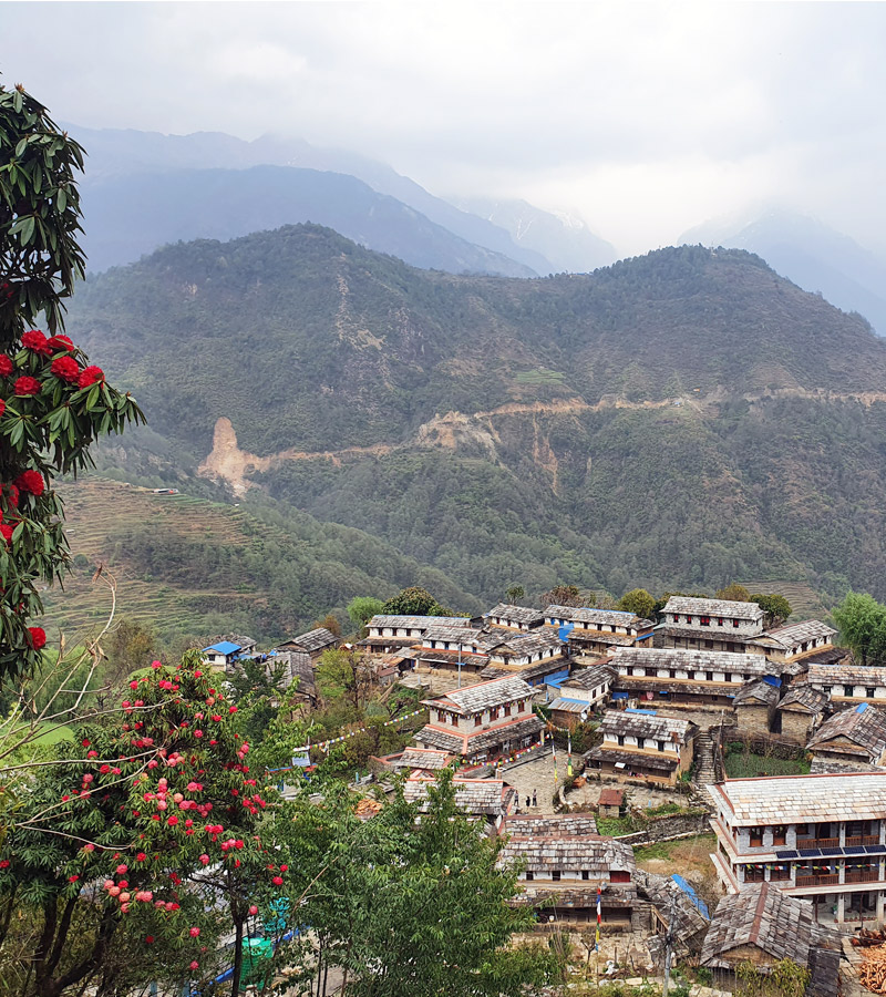 Ghandruk Trek
